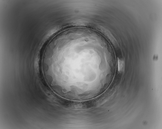 X0000102860675200808251227