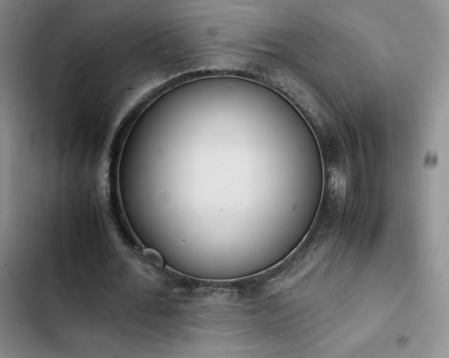 X0000102860676200808251227