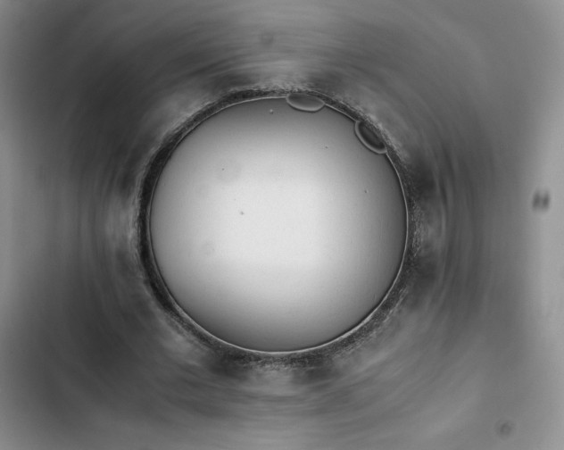 X0000102860677200808251227