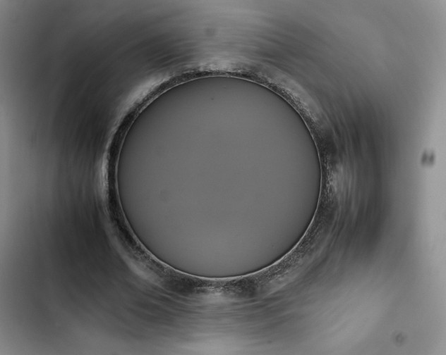 X0000102860678200808251227