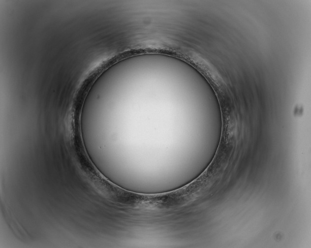 X0000102860680200808251226