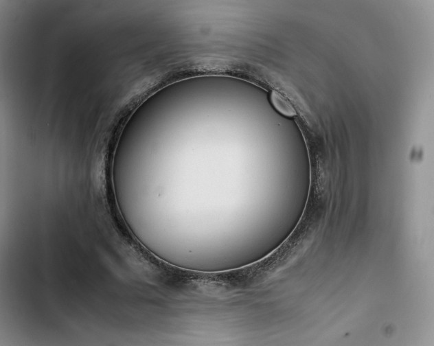 X0000102860681200808251226