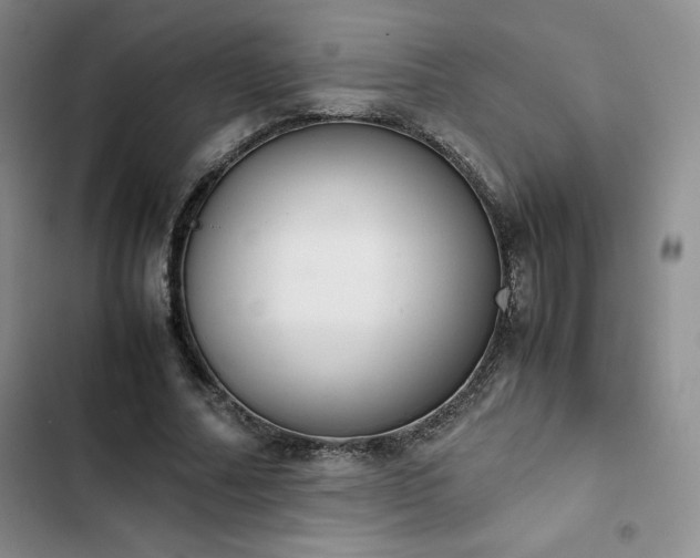 X0000102860682200808251226