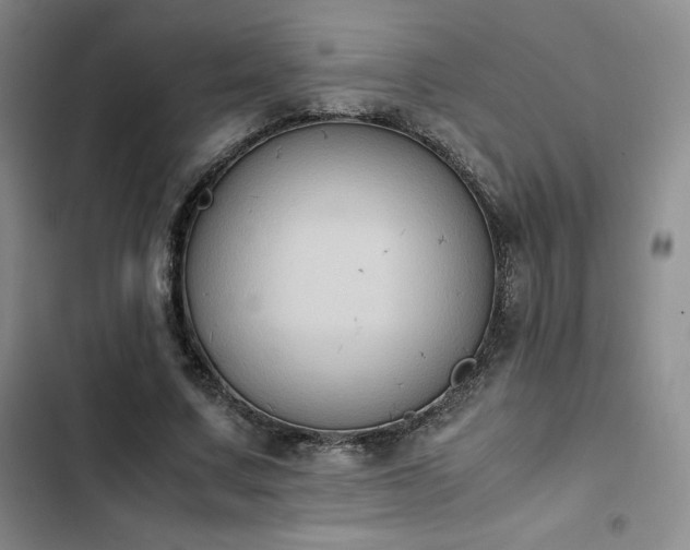 X0000102860683200808251226