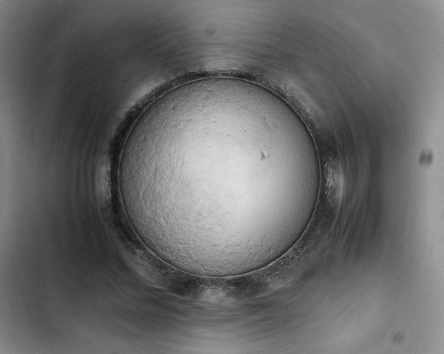 X0000102860684200808251226