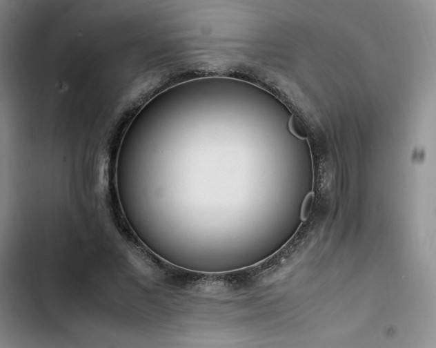 X0000102860685200808251226