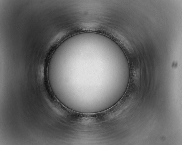 X0000102860686200808251226