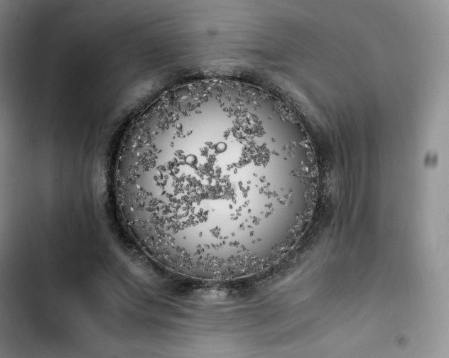 X0000102860687200808251226