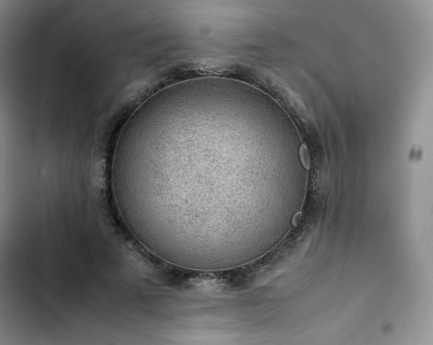 X0000102860689200808251226