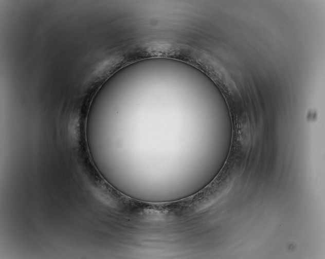 X0000102860690200808251226