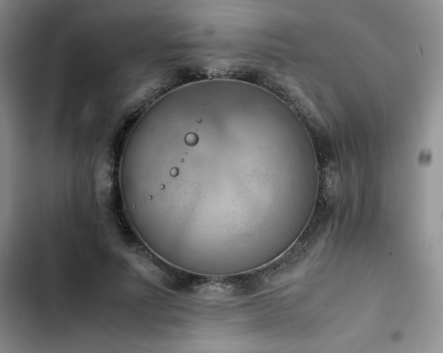 X0000102860691200808251226