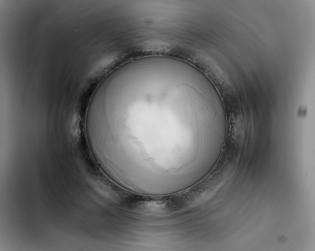 X0000102860692200808251226