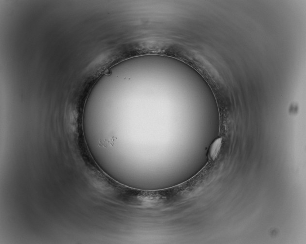 X0000102860693200808251226