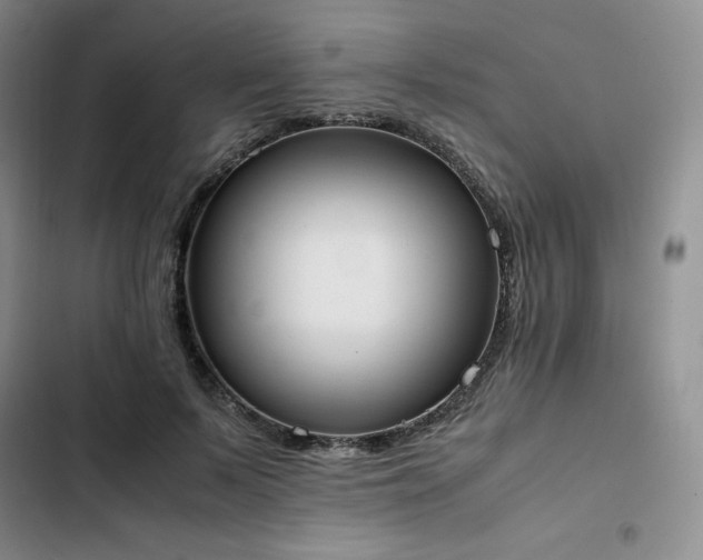 X0000102860695200808251226