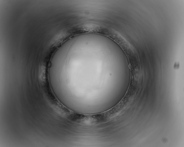 X0000102860696200808251226