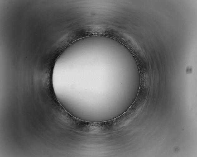 X0000102860697200808251226