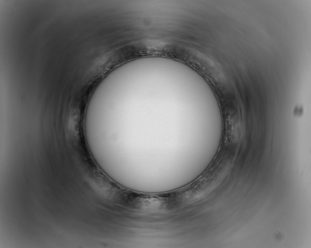 X0000102860698200808251226