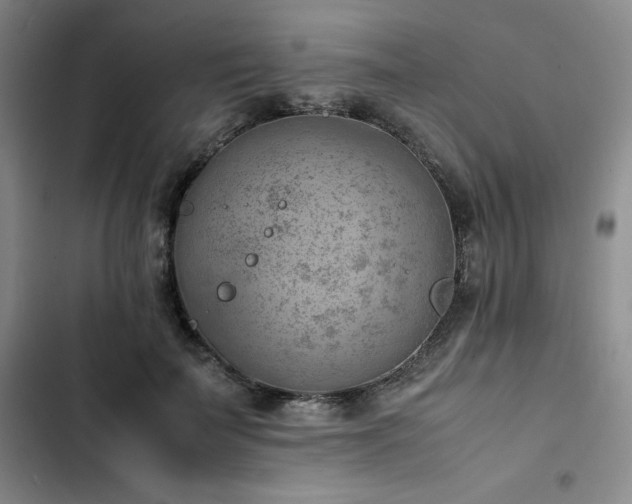 X0000102860699200808251226