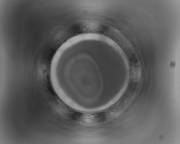 X0000102860701200808251226