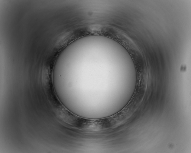 X0000102860702200808251226