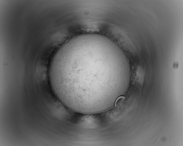 X0000102860704200808251226