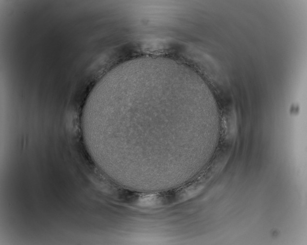 X0000102860705200808251226