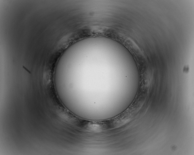 X0000102860706200808251226