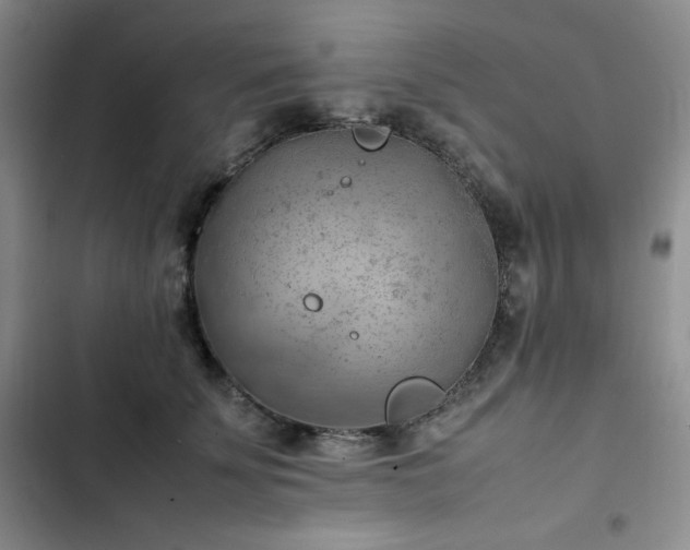 X0000102860707200808251226