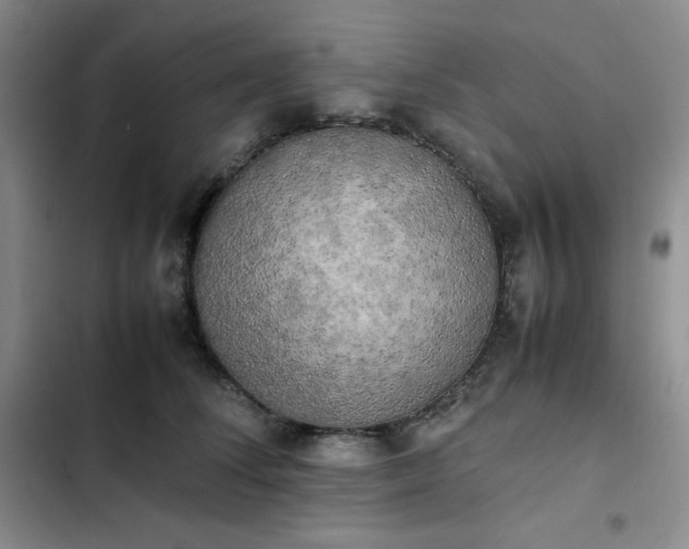 X0000102860708200808251226