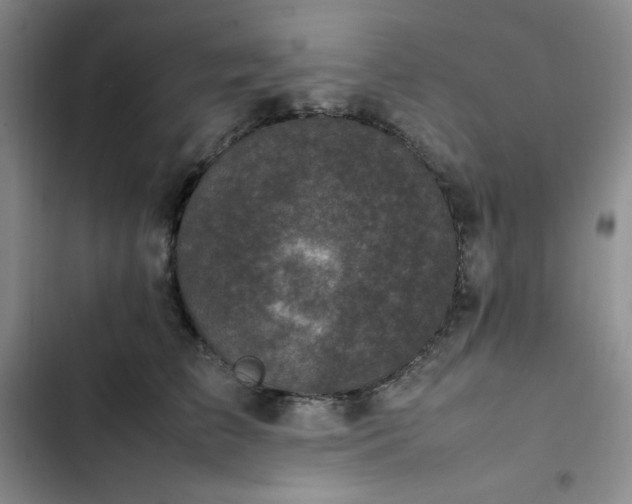 X0000102860709200808251226