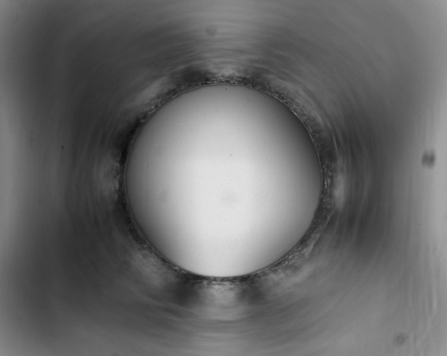 X0000102860710200808251226