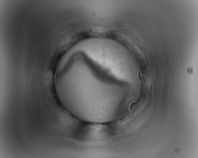 X0000102860711200808251226