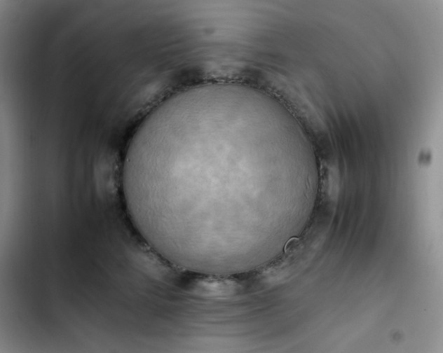 X0000102860712200808251226