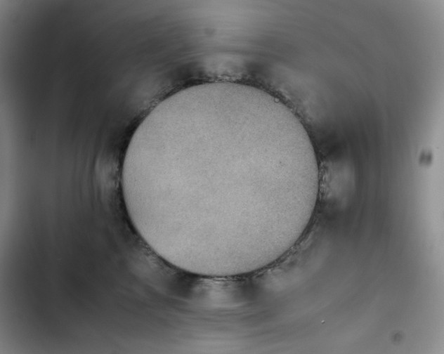 X0000102860713200808251226