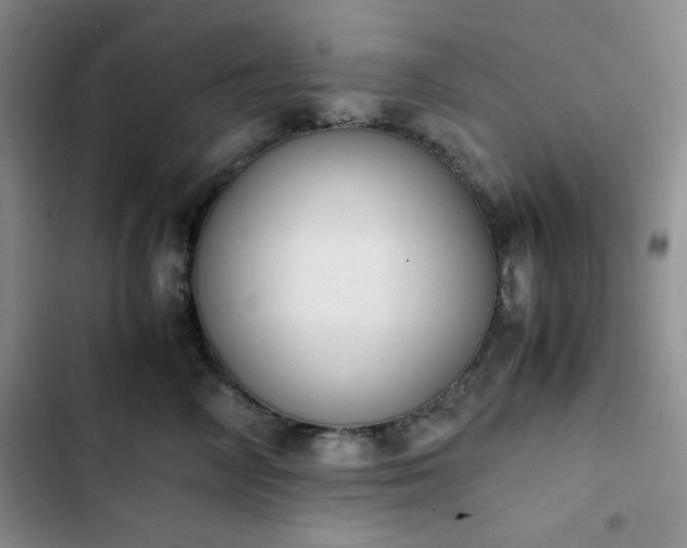 X0000102860714200808251226