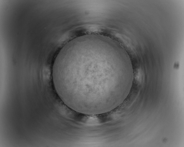 X0000102860715200808251226