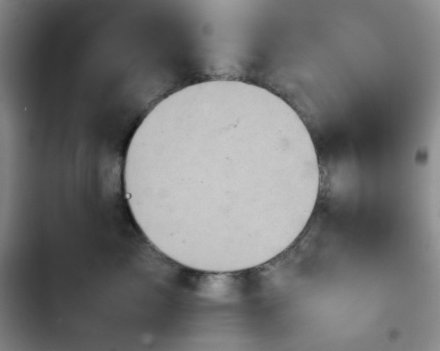 X0000102860717200808251226