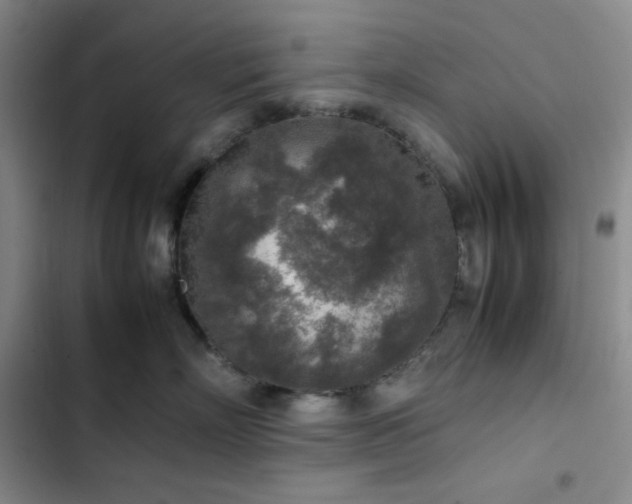 X0000102860718200808251226