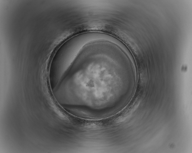 X0000102860721200808251225