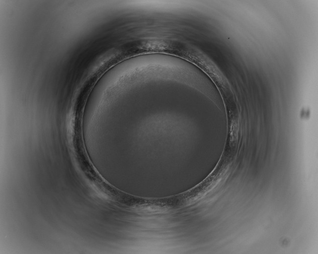 X0000102860722200808251225