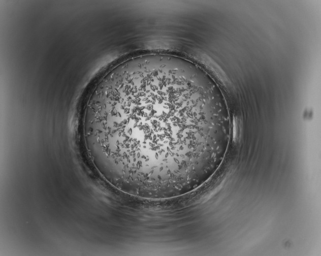 X0000102860723200808251225