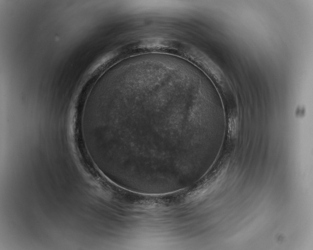 X0000102860724200808251225