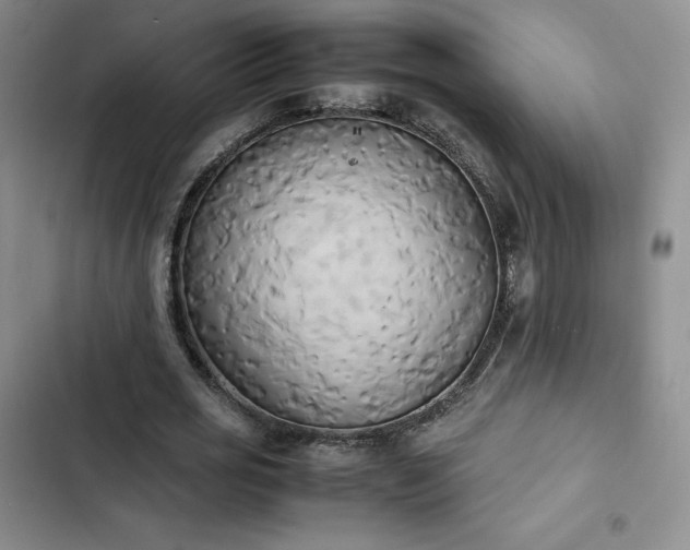 X0000102860725200808251225