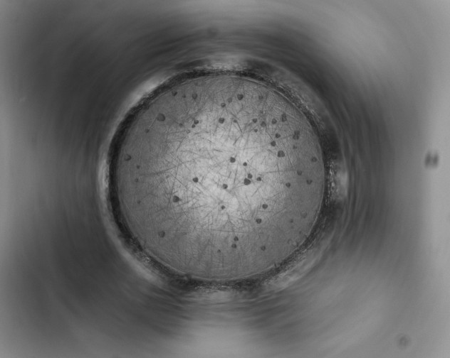 X0000102860726200808251225