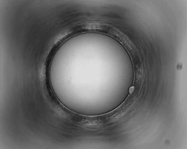 X0000102860727200808251225