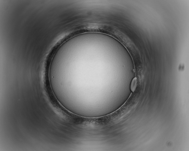 X0000102860728200808251225