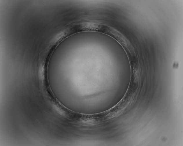 X0000102860729200808251225