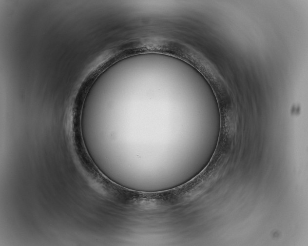 X0000102860730200808251225