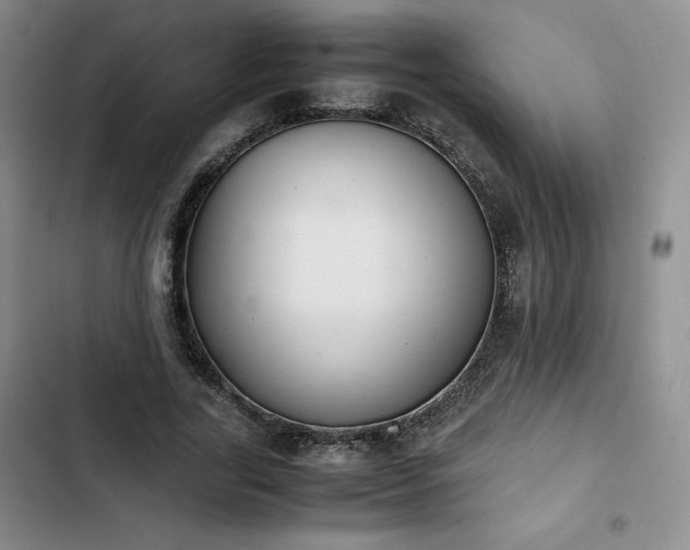 X0000102860731200808251225