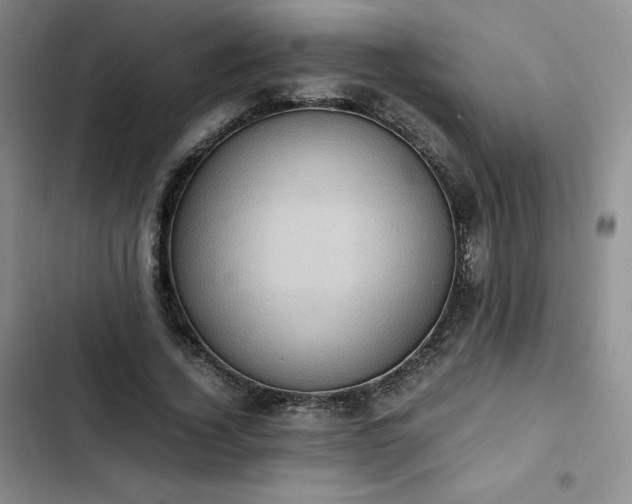 X0000102860732200808251225